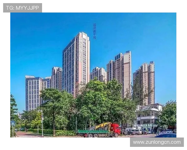 新手必看:入住尊龙凯时正规官网的体验与建议 新手必看:入住尊龙凯时正规官网的体验与建议