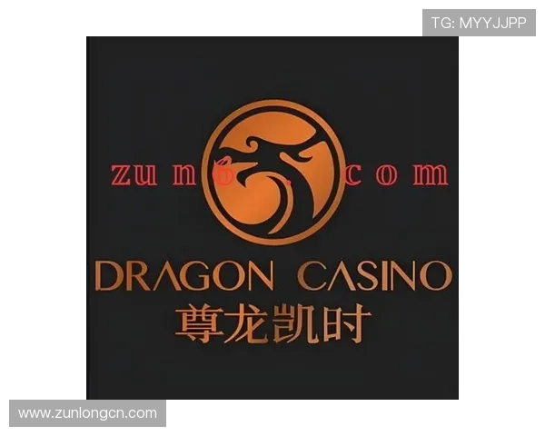 尊龙凯时入口官方授权，保障玩家权益和游戏公平性的安全入口指南