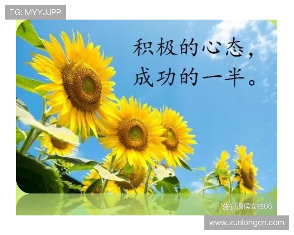 Z6人生就是博：掌握心态调整技巧开启人生多彩新篇章